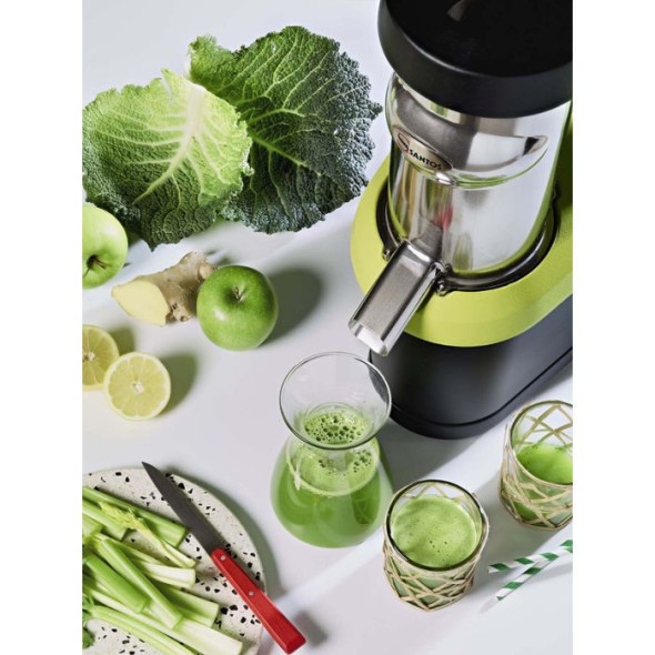 Extracteur de jus Santos NutriSantos | Pacoclean
