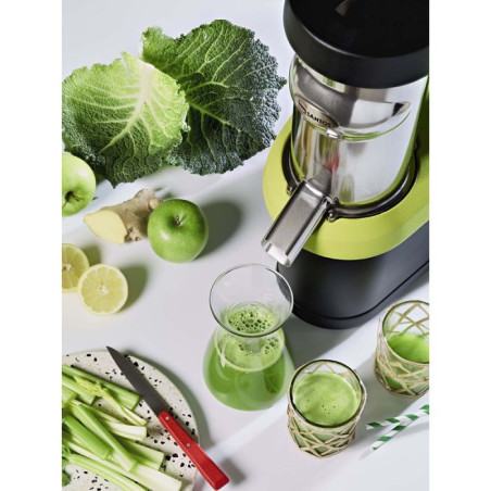 Extracteur de jus Santos NutriSantos | Pacoclean