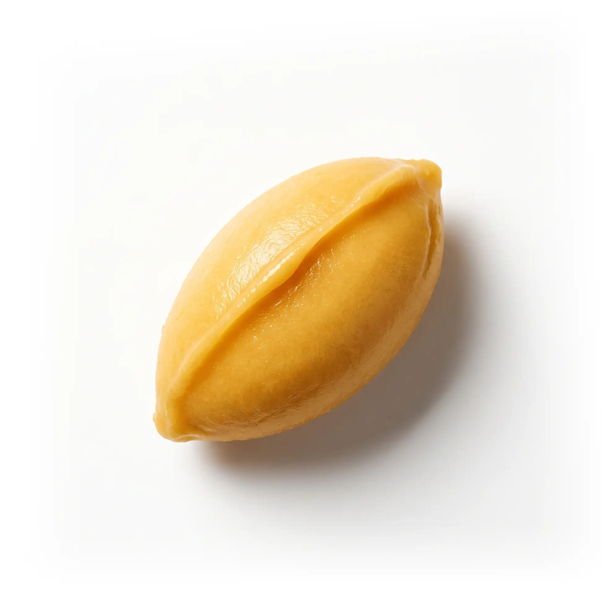 Sorbet mangue